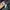 Oakley Streetwear Gorpcore Puffer jacket Pria black photo 4