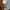 Carhartt Luxury Brief Pria cream photo 6