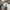 Carhartt Luxury Brief Pria cream photo 4