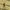 Polo Ralph Lauren Casual Polo shirt Pria yellow photo 3