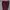 VANS Streetwear Skater Casual pants Pria burgundy photo 7