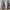 Vintage Indie Jeans Pria white navy photo 1
