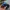 MLB Sportswear Casual Hat Pria blue photo 5