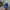 MLB Sportswear Casual Hat Pria blue photo 1