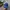 MLB Sportswear Casual Hat Pria Blue