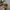 Sportswear Casual Hat Pria brown photo 1