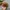 Sportswear Casual Hat Pria brown photo 3