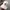 MLB Sportswear Casual Hat Pria cream photo 2