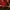Yves Saint Laurent YSL Luxury Shoulder bag Wanita burgundy photo 2