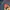 Dickies Gorpcore Track jacket Pria navy photo 5