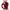 Minimalist Casual Sweatshirt Wanita burgundy red photo 2