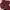 Minimalist Casual Sweatshirt Wanita burgundy red photo 1