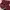 Minimalist Casual Sweatshirt Wanita Burgundy Red