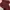 Minimalist Casual Sweatshirt Wanita burgundy red photo 3