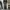 Vintage Y2K Jeans Pria white black photo 3
