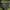 Nike Sportswear Track jacket Pria green black photo 5