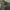 Nike Sportswear Track jacket Pria green black photo 2
