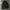 Nike Sportswear Track jacket Pria green black photo 3