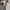 H&M Streetwear Gorpcore Sweatshirt Pria Cream