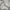 Sportswear Casual Sweatshirt Pria gray photo 7