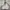 Sportswear Casual Sweatshirt Pria gray photo 1