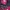 Lacoste Gorpcore Sportswear Windbreaker Pria burgundy red photo 2