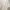 ZARA Minimalist Casual Kimono Wanita white photo 3