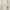 ZARA Minimalist Casual Kimono Wanita white photo 4