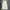 Polo Ralph Lauren Vintage Casual Pria cream photo 1