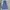 Japanese brand Vintage Jeans Pria navy blue photo 1