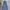 Japanese brand Vintage Jeans Pria navy blue photo 2