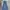 Japanese Brand Vintage Jeans Pria Navy Blue