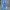TBJ Nearby Vintage Streetwear Jeans Pria navy blue photo 2