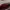 Cartier Y2K Luxury Bag Pria burgundy photo 6