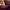 Cartier Y2K Luxury Bag Pria burgundy photo 5