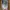 Adidas Streetwear Casual Sneakers Pria multicolor cream photo 5