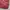 Kangol Casual Backpack Wanita pink photo 3