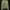 Kenzo Luxury Sweatshirt Pria green photo 1