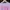 A Bathing Ape Luxury Casual Sweatshirt Wanita pink photo 2