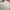 Polo Ralph Lauren Casual Formal shirt Pria cream photo 2