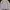Burberry Luxury Casual Harrington jacket Wanita khaki photo 3