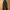 Colza Vintage Indie Jeans Pria black photo 2