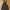 Colza Vintage Indie Jeans Pria black photo 4