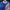 Asics Sportswear Casual Track jacket Pria blue photo 3