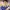 Asics Sportswear Casual Track jacket Pria blue photo 2