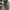 VANS Grunge Casual shoe Pria white black photo 5