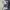 Dickies Skater Casual pants Pria navy photo 3