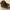 Casual Boots Pria Brown