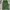Vintage Y2K Casual pants Pria green photo 3