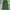Vintage Y2K Casual pants Pria green photo 4